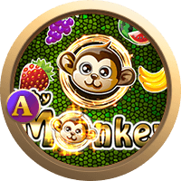 Baby Monkey